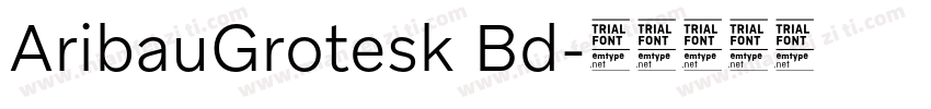 AribauGrotesk Bd字体转换